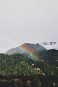 森林山顶上的彩虹之桥