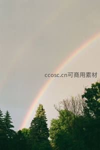 林间双彩虹，雨后清新绿意盎然