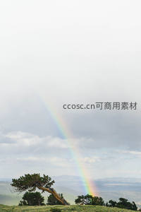 山巅孤树映彩虹，云海苍茫景色奇