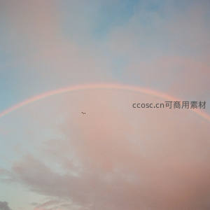 粉霞天空中孤鸟飞越彩虹