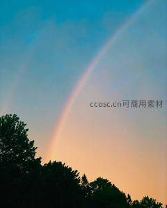 夕阳下彩虹横跨树梢，天空染上温暖色彩