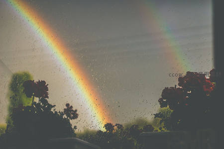 窗前双虹映花影，雨滴轻敲诉柔情