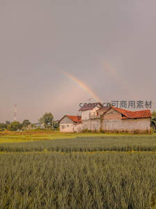 稻田农舍上空双彩虹奇景