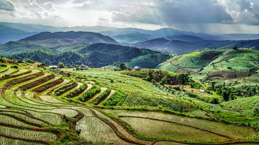 云雾缭绕的梯田山景，层叠如画