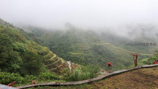 云雾缭绕的梯田山谷风光