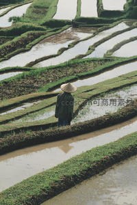 梯田农夫背影，水光潋滟映青山