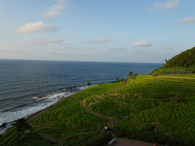 海岸边梯田，碧海蓝天共一色