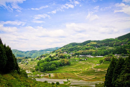 蓝天白云下，层叠梯田环抱青山村落