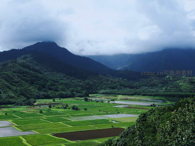 云雾缭绕山峦间，翠绿田野展眼前