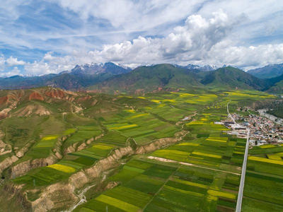 航拍大地织锦图，油菜花海映雪山