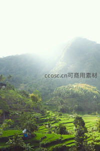 晨雾缭绕青山间，梯田如画展眼前