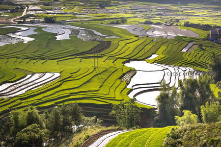 层叠梯田如绿绸带铺展山间
