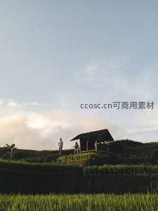 梯田小屋与远眺的旅人