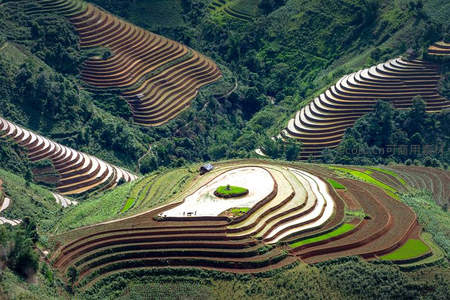 壮丽山间梯田如大地雕塑，线条优美