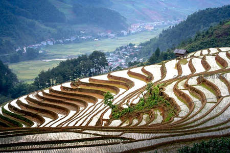 蜿蜒水田如大地指纹般壮观