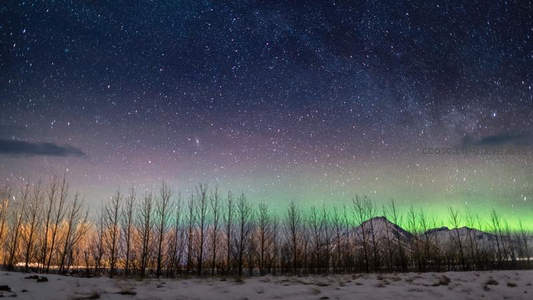 星河低垂覆林梢，极光轻抚雪原边际