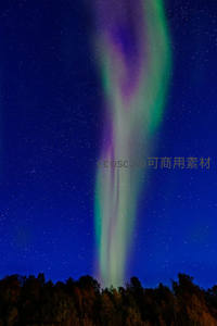 极光如丝带舞动于星夜森林之上