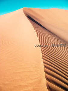 沙丘脊线分明，光影交错如画布