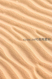 柔顺如波浪的金色沙纹