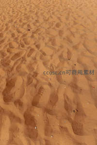 沙地上凌乱的脚印与足迹