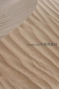 沙漠沙丘的细腻纹理与光影交错