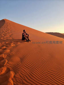 孤影坐沙丘，夕阳染金黄
