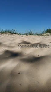 沙丘波纹映蓝天，草尖微风拂面