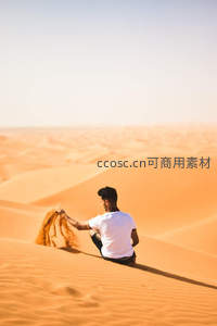 独坐沙丘凝望远方的沉思者