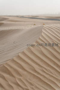 沙丘曲线的抽象之美