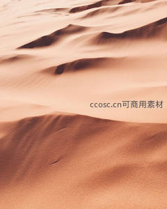 流沙细语，风雕琢的沙丘纹理