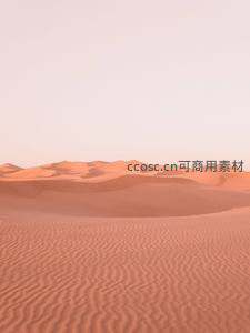 晨曦微光中的柔美沙丘曲线