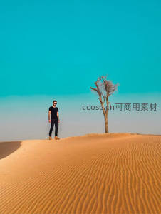男子与枯树在碧空下的沙漠之巅