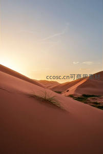 夕阳染红沙丘草影婆娑如画