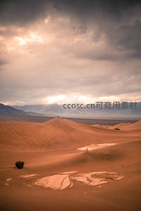 风暴前夕的沙海静谧