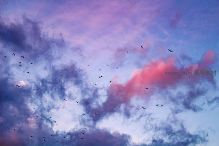 群鸟翱翔粉紫空，暮色云霞共翩跹