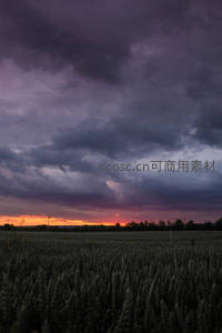 乌云压境麦田寂，夕阳余晖透天际