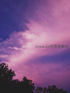 树梢之上紫霞舞，梦幻云海醉人心