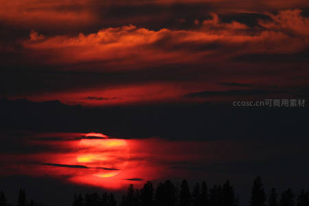 森林剪影下的血色夕阳