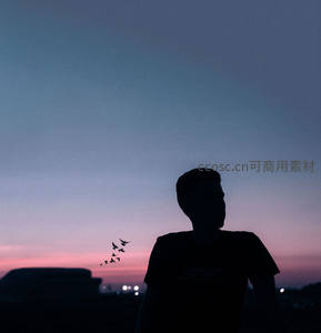 少年凝望归雁飞，暮色温柔染天边