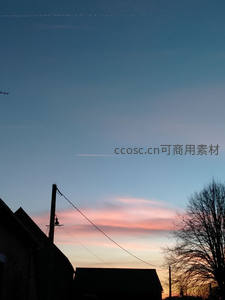 乡村剪影，晚霞映衬电线杆与枯树