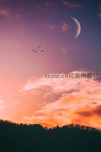 新月星空下飞鸟掠过山峦