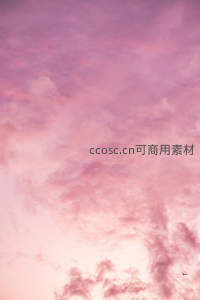 粉紫云海中孤鸟掠过