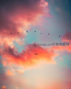 飞鸟掠空，霞光万道映归途