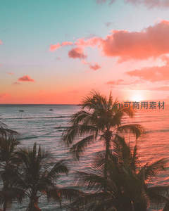 椰林剪影映衬火红日落
