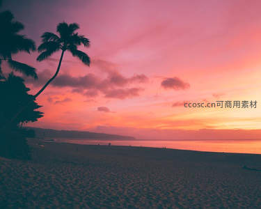 热带海滩日落，椰影婆娑映霞光