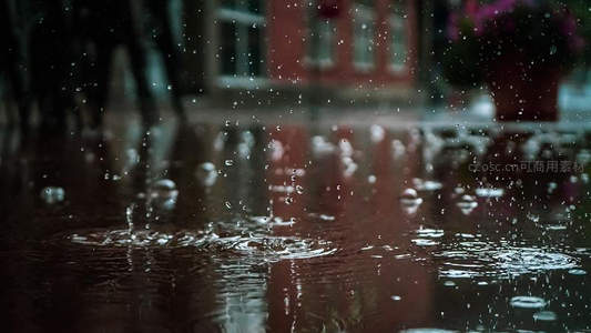 雨落水洼，溅起晶莹水花