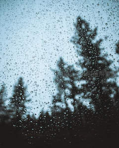 窗上雨珠，松林剪影朦胧