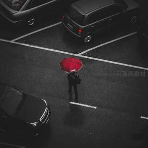 黑白世界里，一把红伞成为唯一焦点