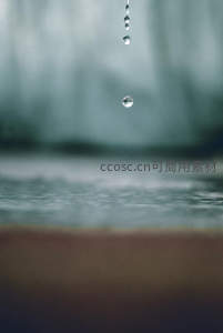 慢镜头下的雨滴坠落瞬间
