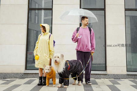 雨天遛狗夫妇，萌宠穿雨衣撑伞同行